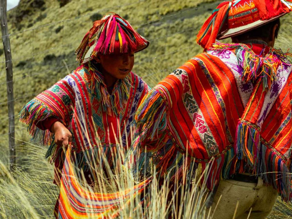 Peru reforestation projects