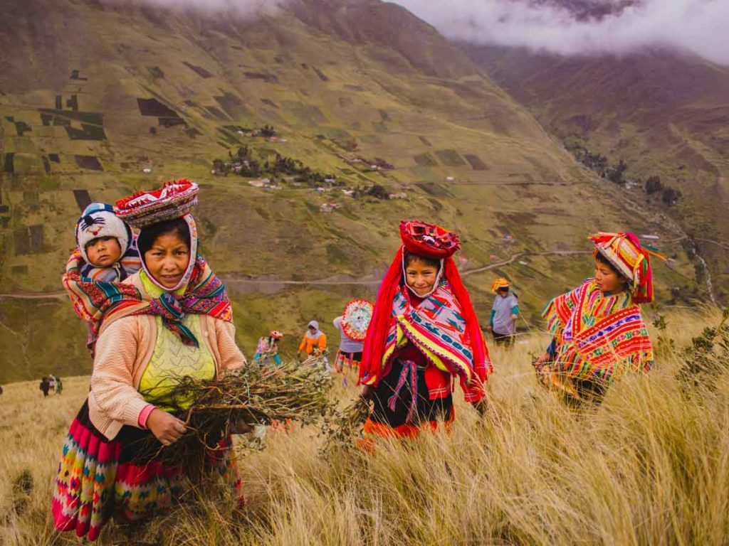 biodiversity restoration Peru