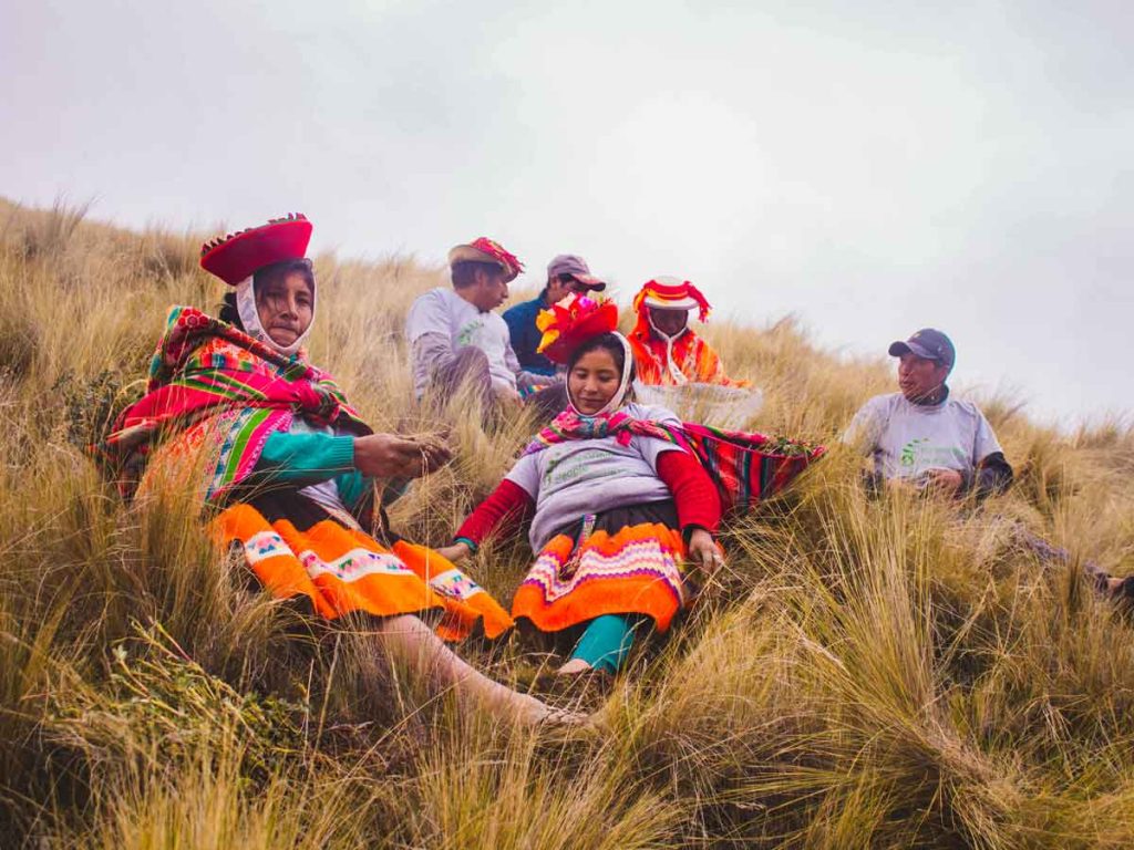 environmental recovery in the Andes
