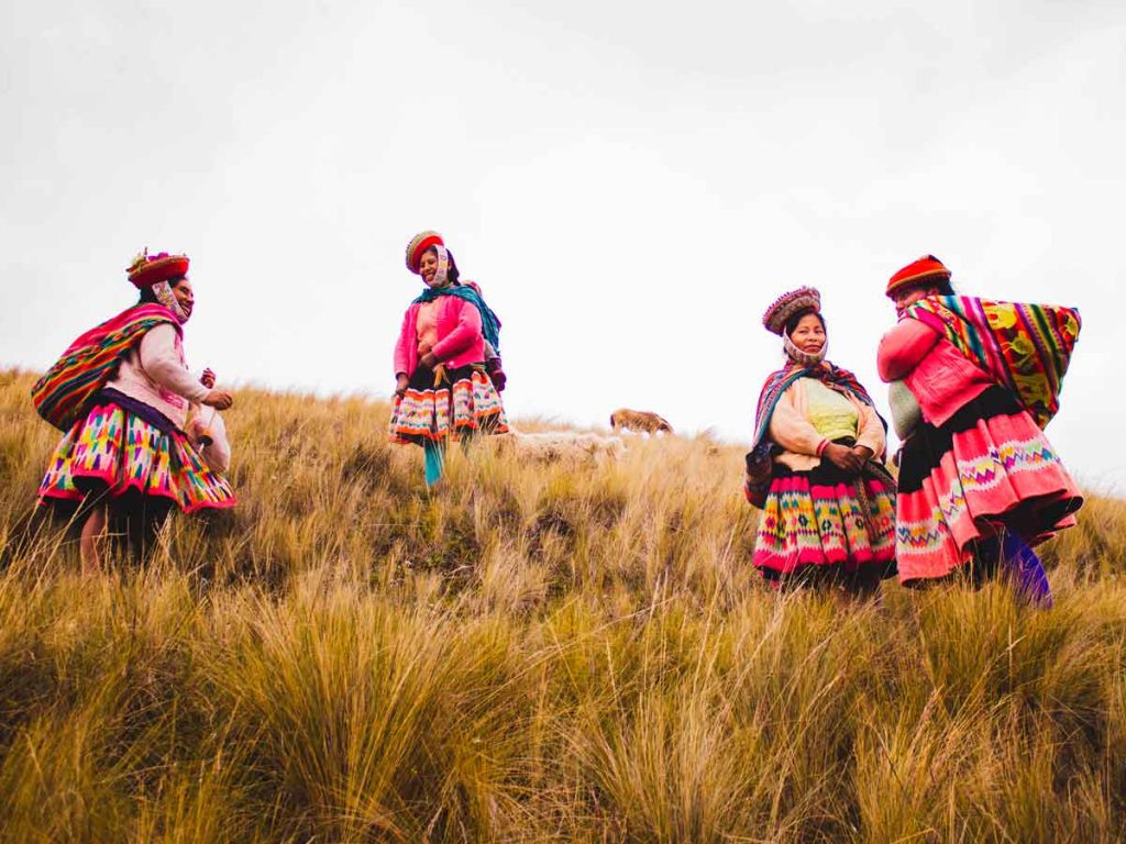 how to volunteer in reforestation projects Peru