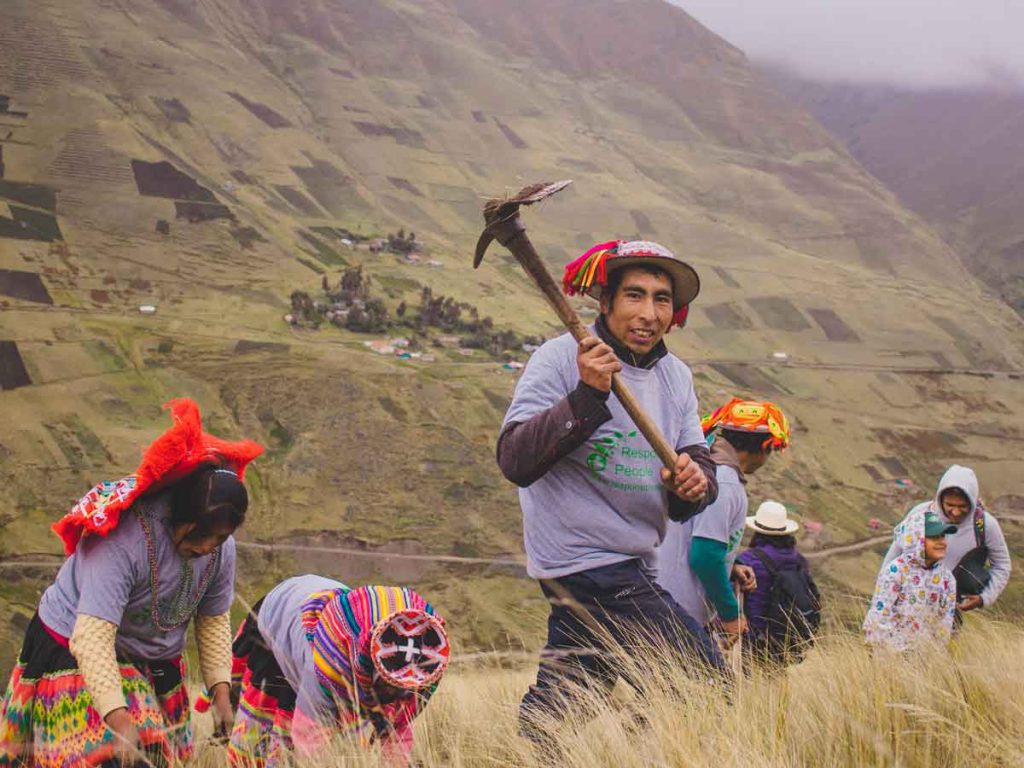 volunteer tree planting Peru