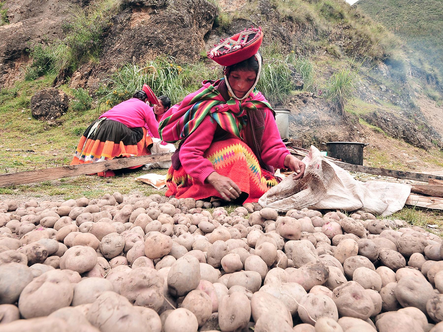 Daily Life in the Andes