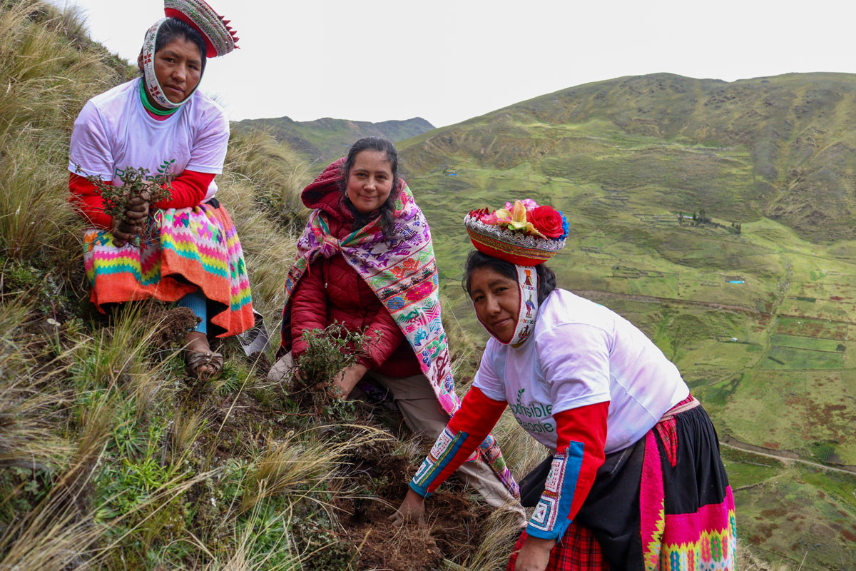Responsible Reforestation Peru