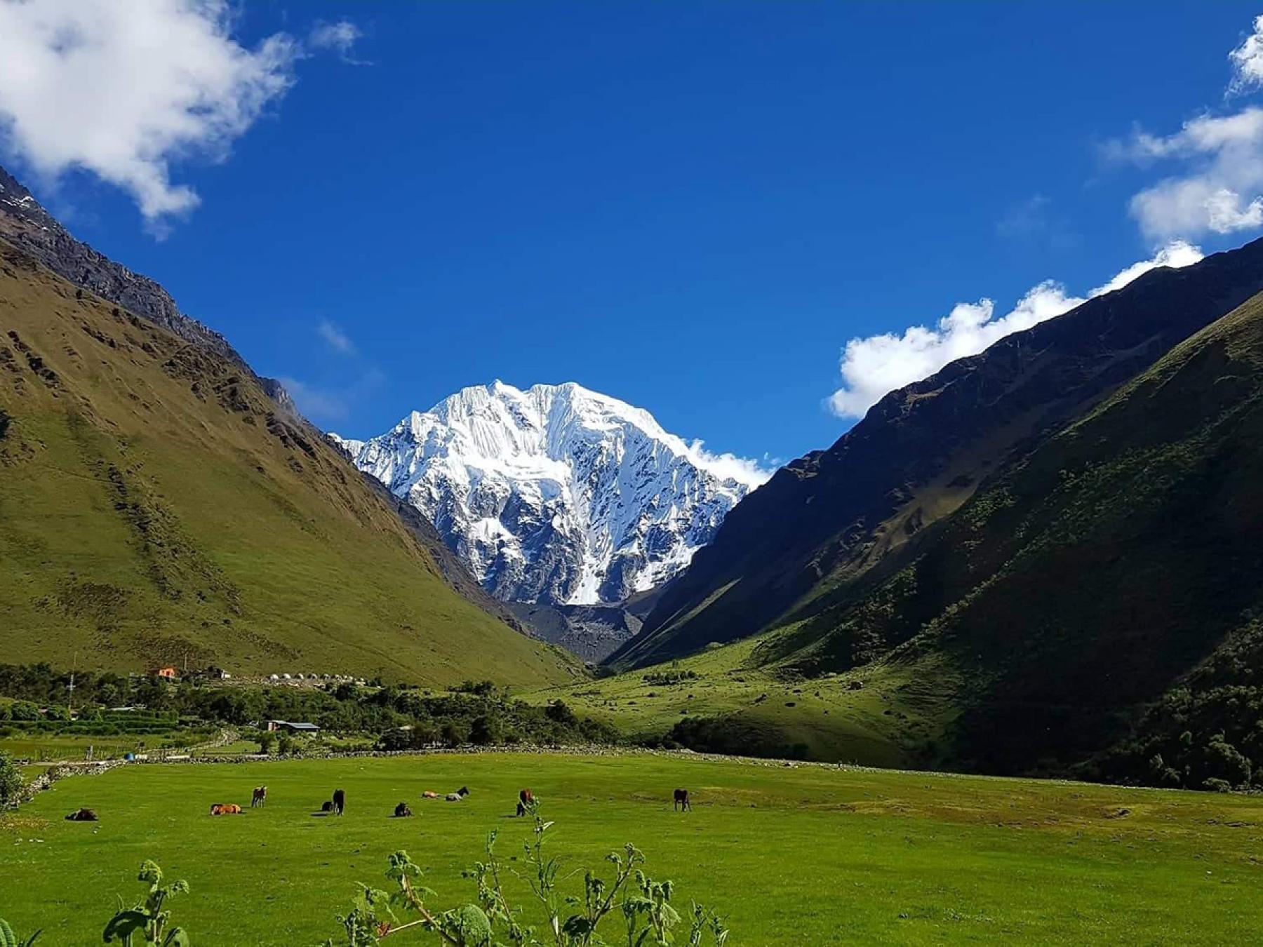 Salkantay Trek Devastation and Animal Exploitation