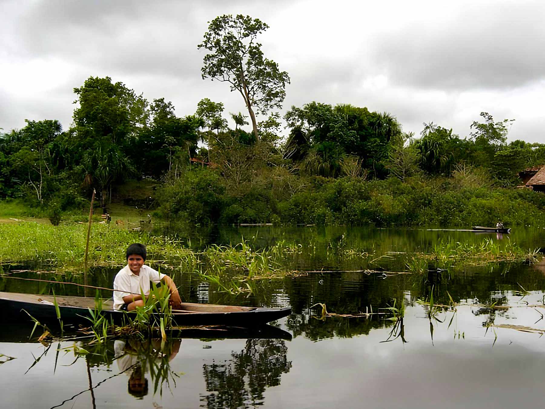 Lake Zungarococha: Iquitos Low Jungle Ecosystem