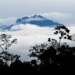 Amazon deforestation and Destruction