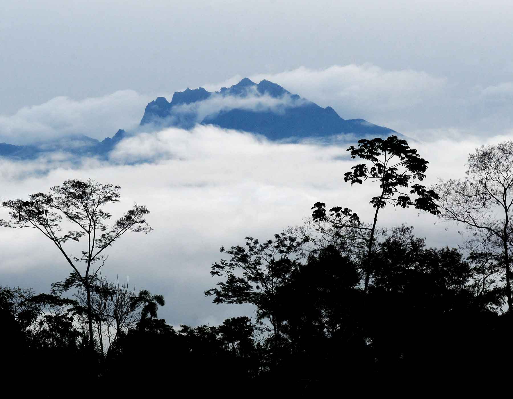 Amazon deforestation and Destruction