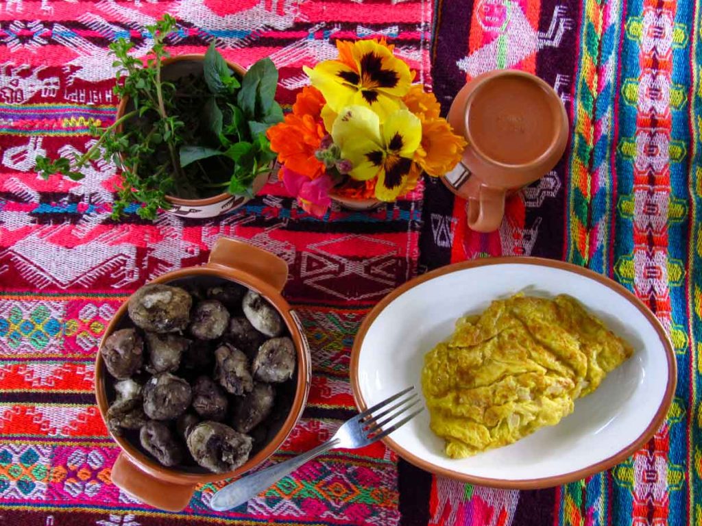 Homestay tourism in the Andes