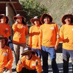 Inca Trail Porters: Carrying the Legacy of the Andes, Step by Step