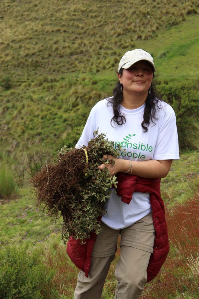 Responsible People Volunteer