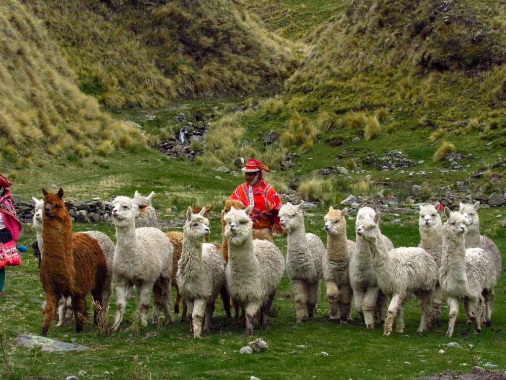 Travel with local families in Peru