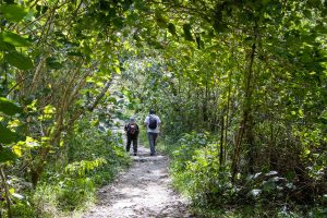 Environmental awareness Peru