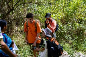 Protect Machu Picchu environment